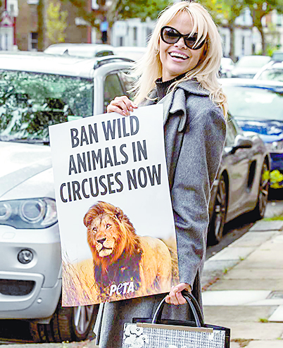 Pamela Anderson ‘tortura’ a Assange con comida vegetariana