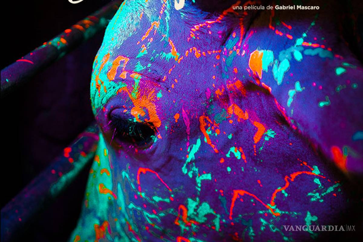 $!¡Por fin! Llega la 60 Muestra Internacional de Cine