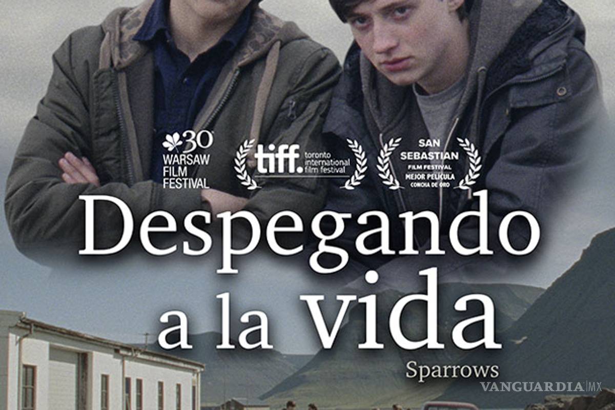 $!¡Por fin! Llega la 60 Muestra Internacional de Cine