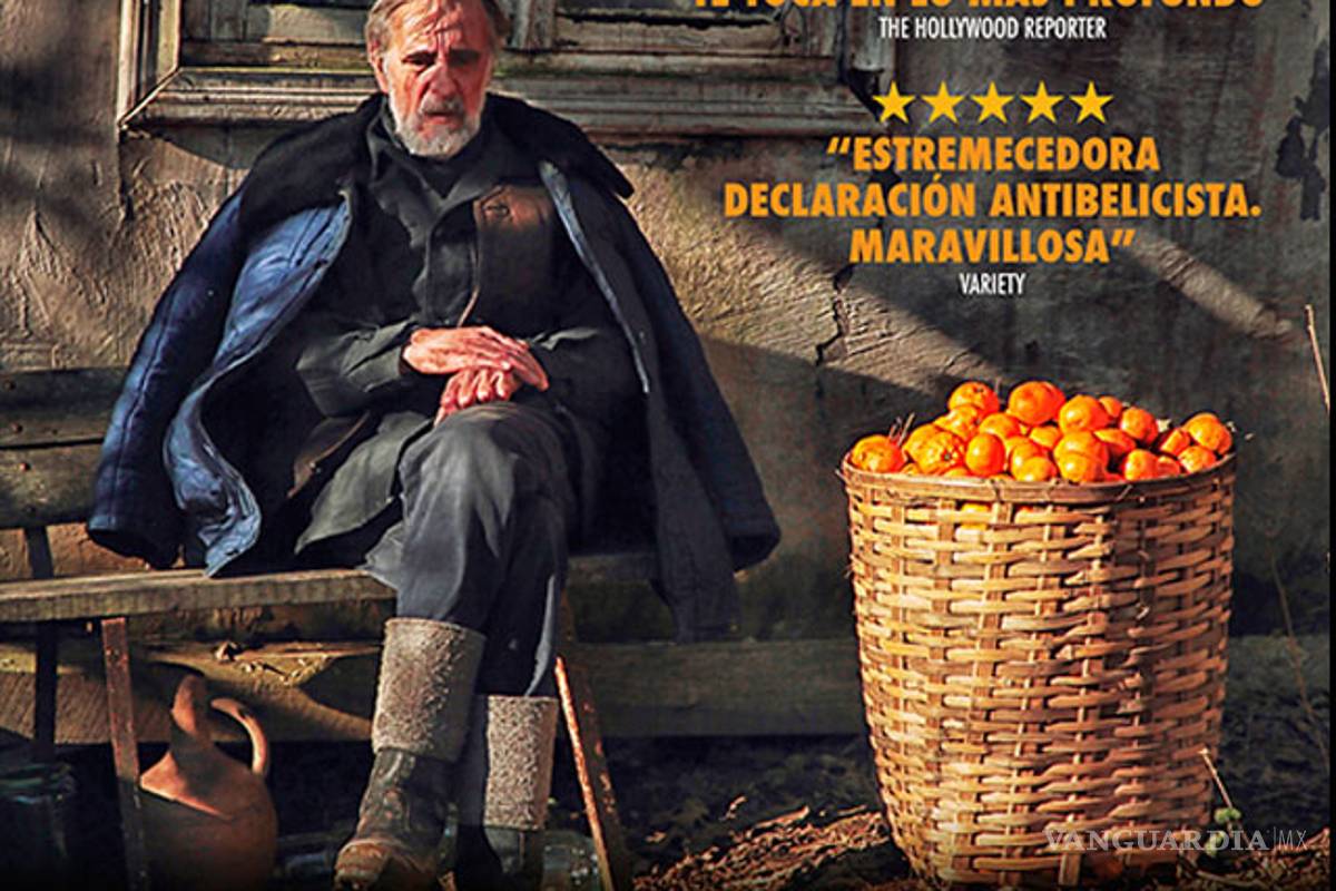 $!¡Por fin! Llega la 60 Muestra Internacional de Cine