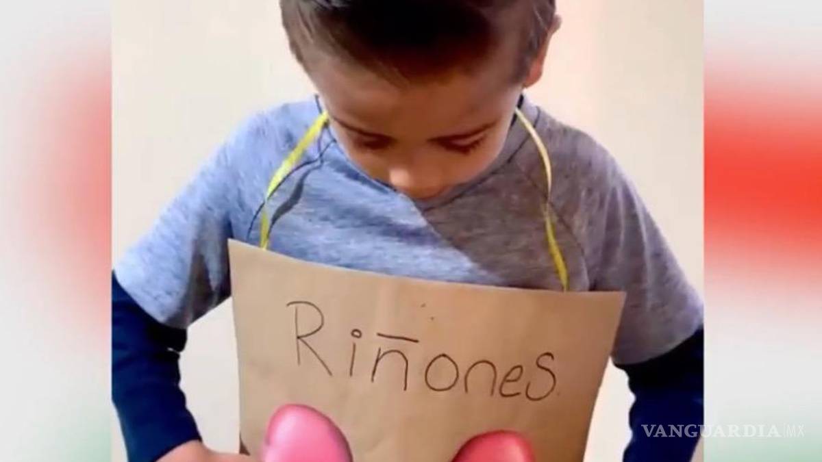 En espera de un órgano 38 niños de Coahuila; riñones y córneas, lo más buscado