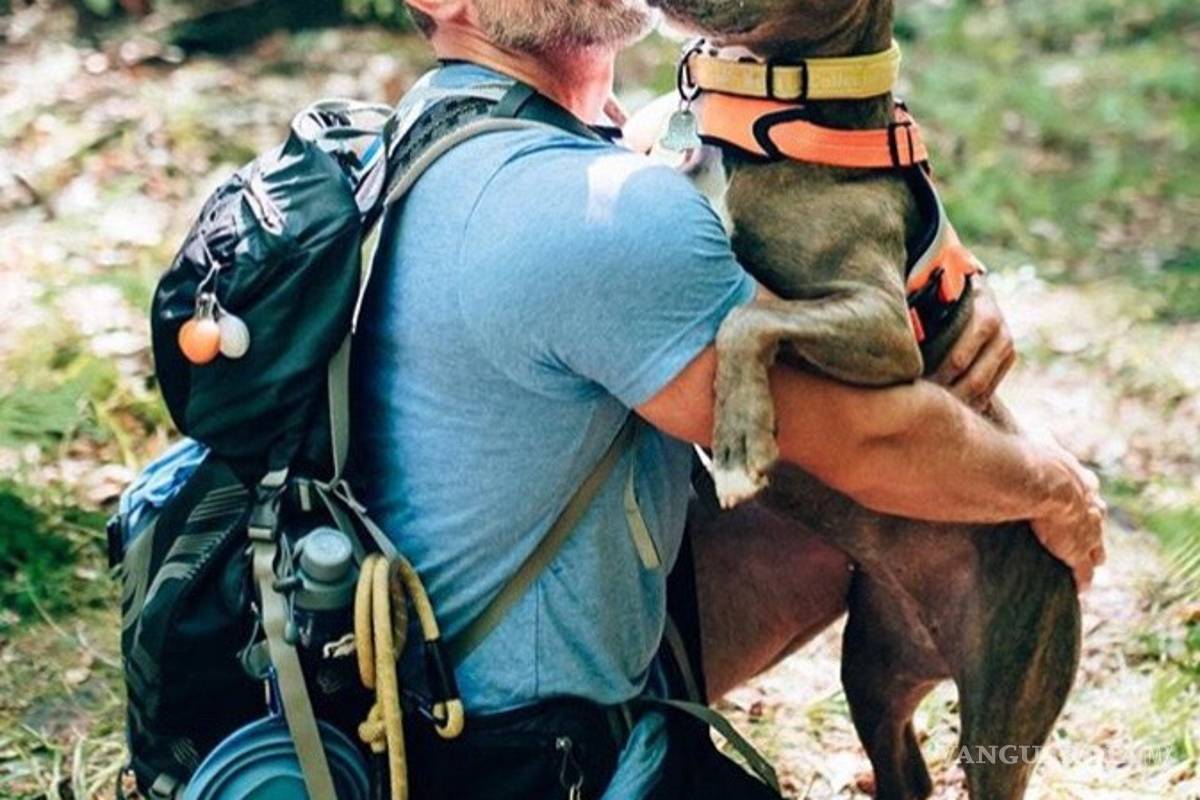 Un alcohólico y una pitbull: juntos salvaron sus vidas