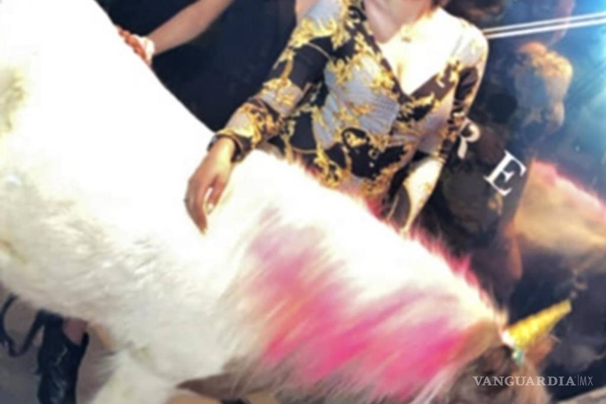 Poni disfrazado de “unicornio” es exhibido en antro de Torreón; clausuran el lugar