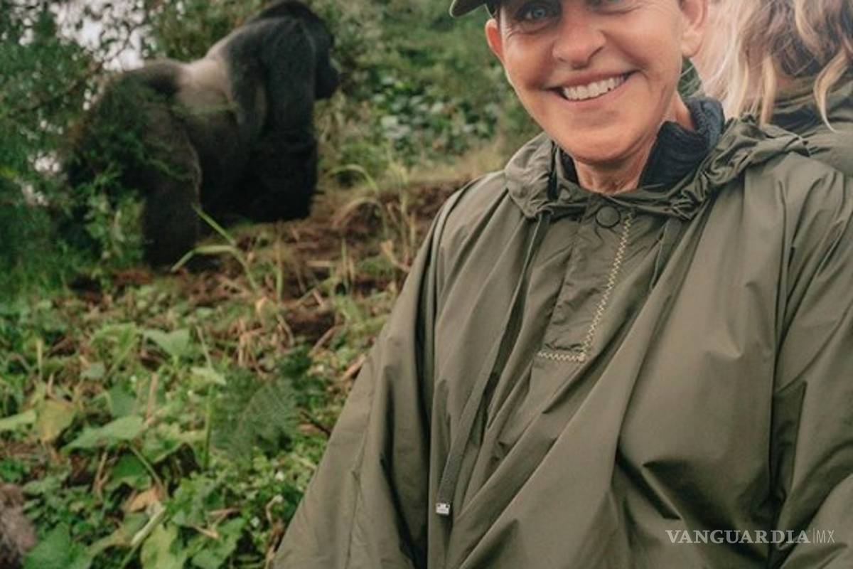 Ellen DeGeneres comparte emocionante encuentro con gorilas