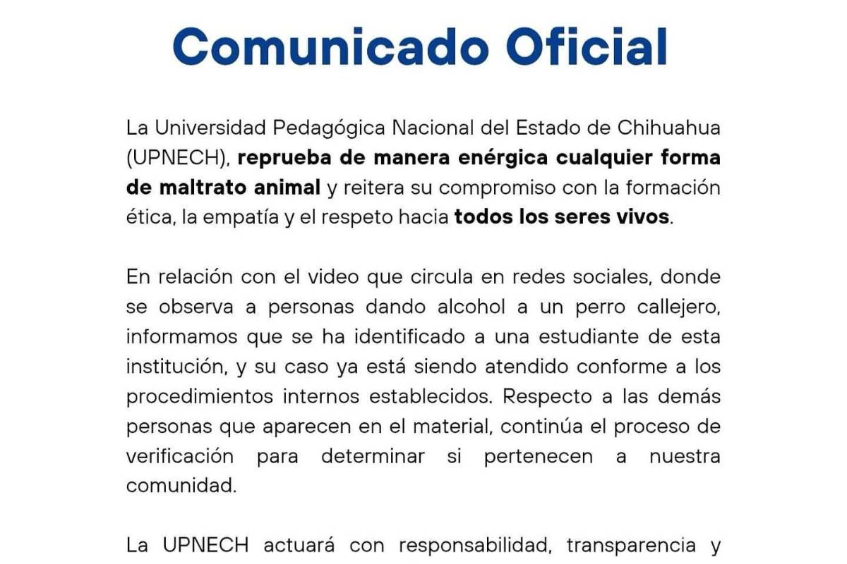 $!Chihuahua: Jóvenes dan alcohol a una perrita callejera; Universidad identifica a alumna (VIDEO)