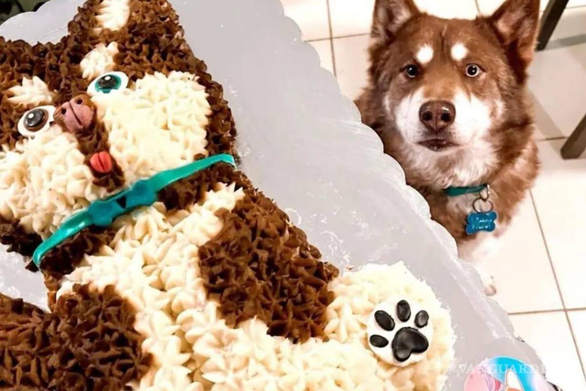 Saltillo: happy birth... ¿dog? Para pagarse estudios, joven vende pasteles para mascotas
