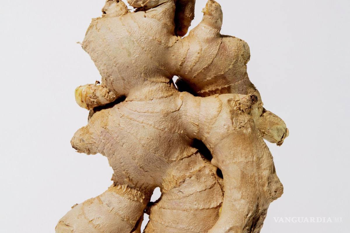 ¿El jengibre realmente puede aliviar el malestar estomacal?