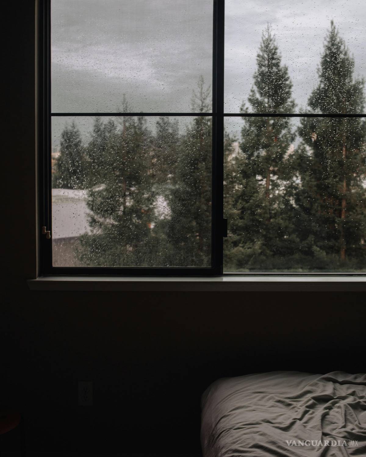 $!Blanco, rojo o negro... ¿Qué color de impermeabilizante es mejor según el clima y las necesidades del hogar?