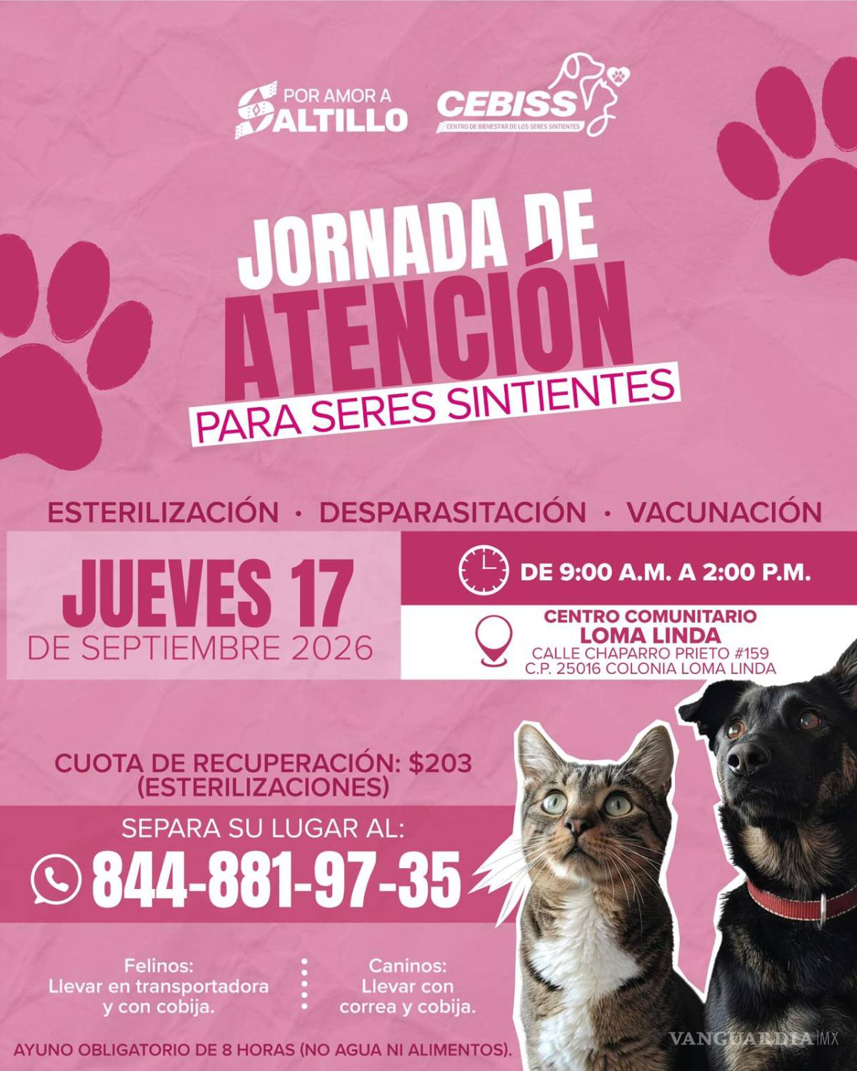 $!Ofrecerá CEBISS esterilización, vacunación y desparasitación en Loma Linda.