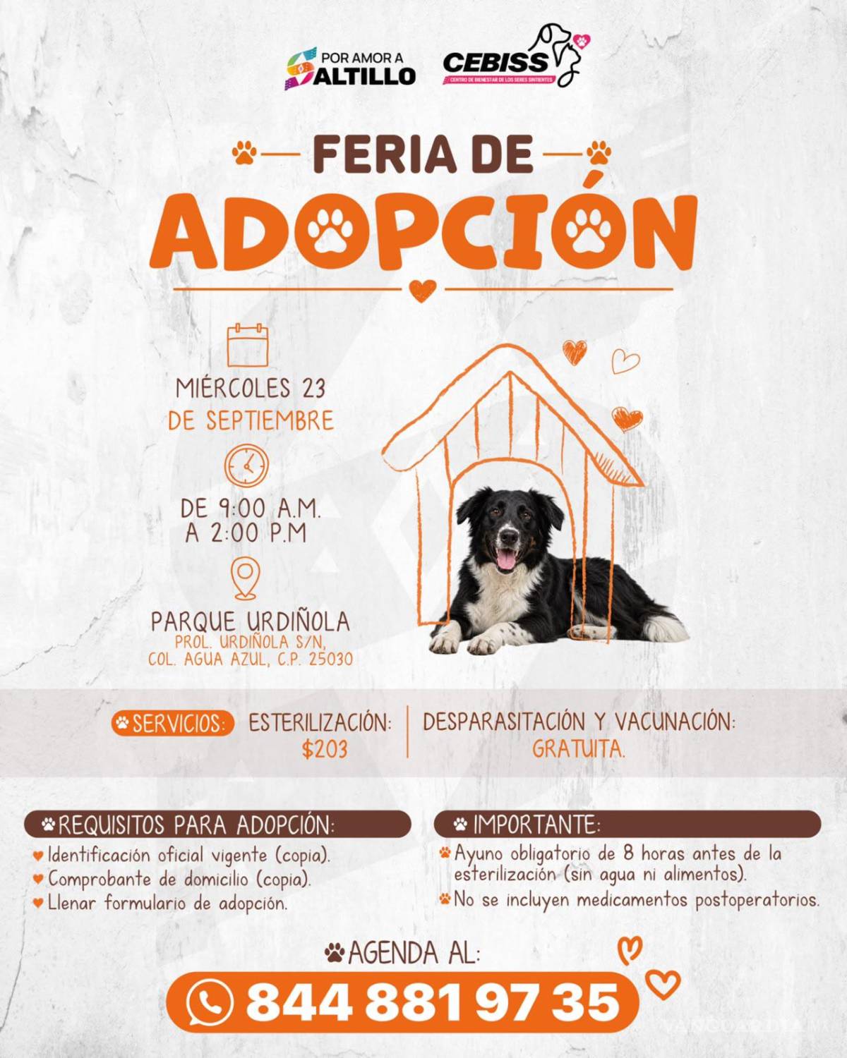 $!Saltillo realizará Feria de Adopción en el Parque Urdiñola este miércoles
