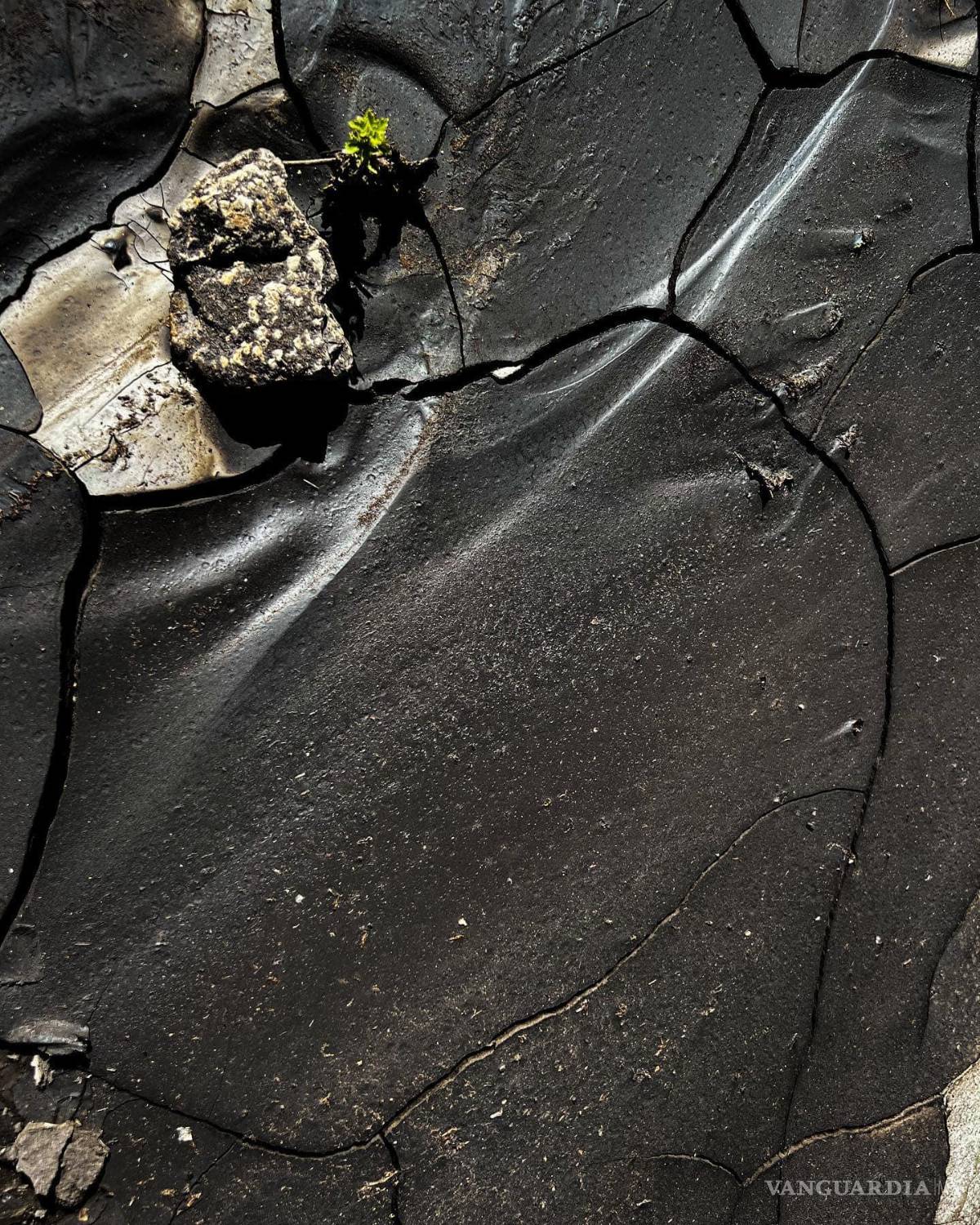 $!El río en cuestión es usado como parte del recorrido de los visitantes.