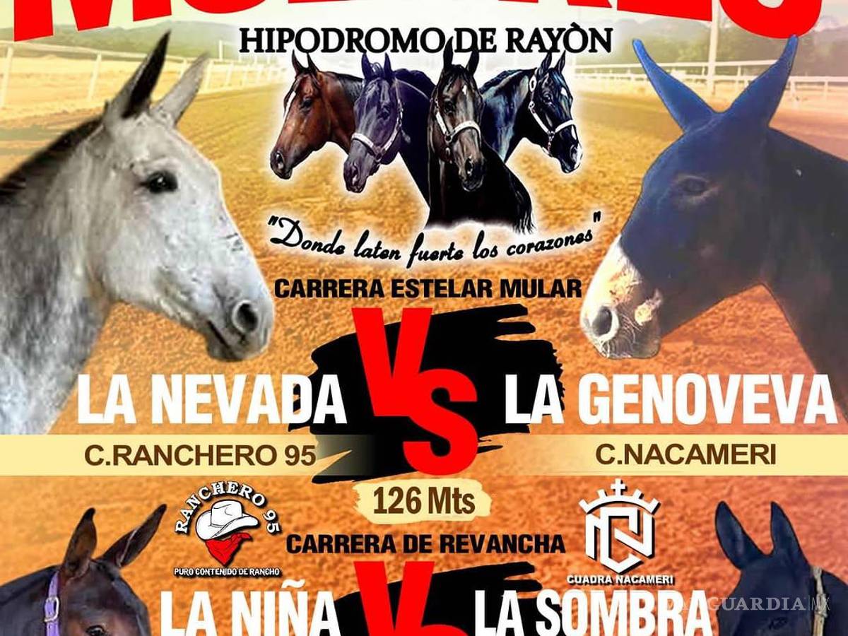 $!Reportan desaparición de ‘Ranchero 95’, influencer cercano a Markitos Toys y Kevin Castro, en Sonora