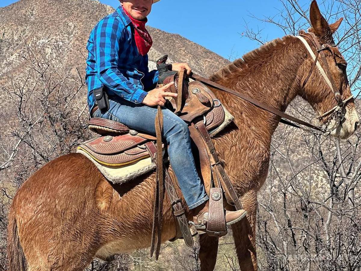 $!Reportan desaparición de ‘Ranchero 95’, influencer cercano a Markitos Toys y Kevin Castro, en Sonora