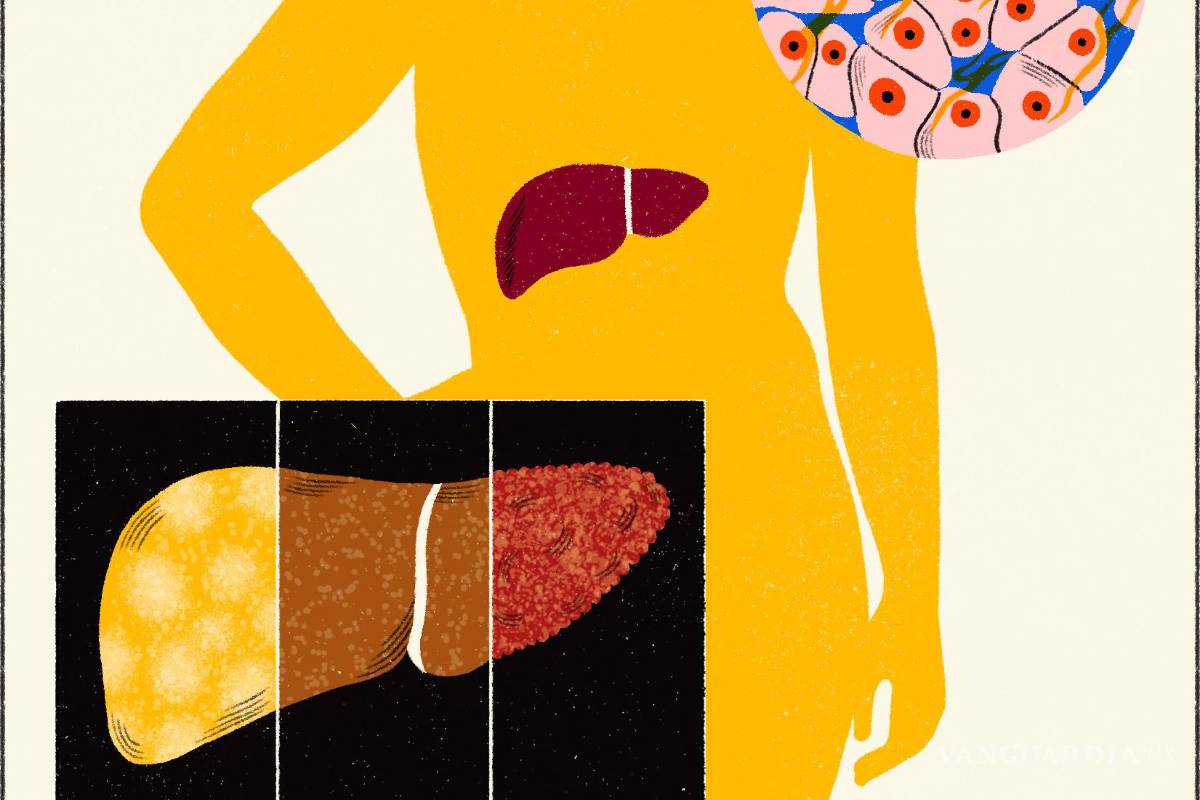 $!Su impacto en el cuerpo va mucho más allá del momento de relajación o euforia que puede provocar.