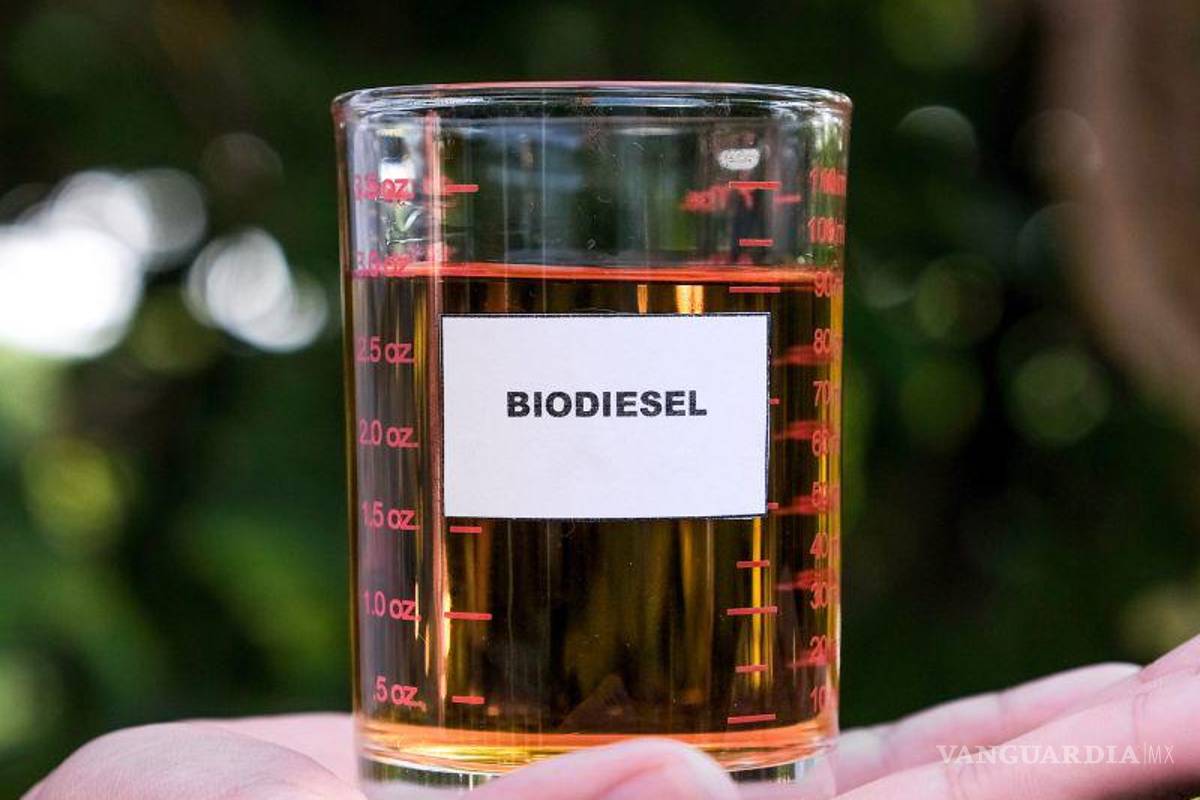 Biodiésel, sin mercado en Coahuila... aunque la UAdeC y la Narro han hecho investigación