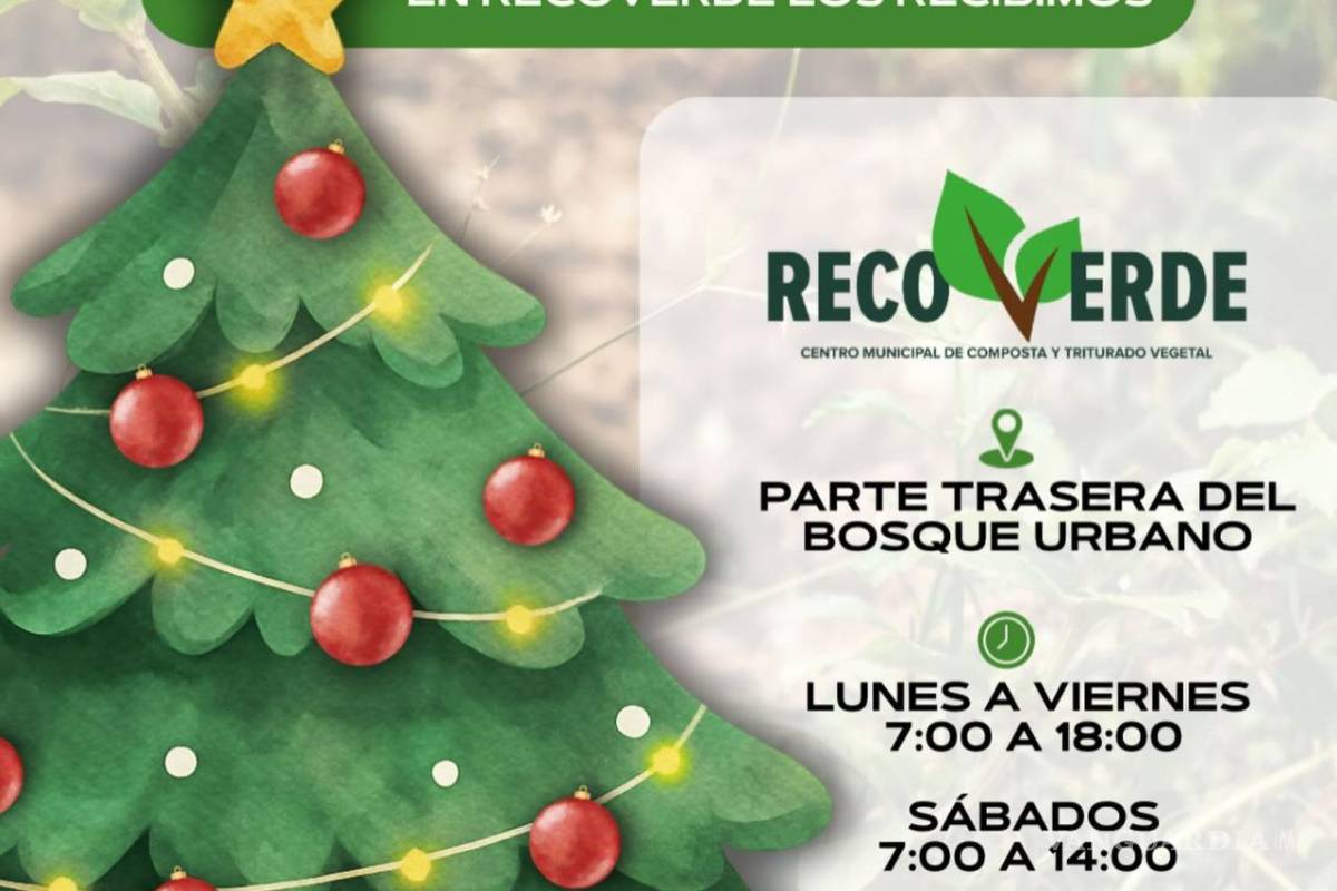 $!El acolchado vegetal obtenido de los pinos ayuda a mejorar parques y camellones de la ciudad.