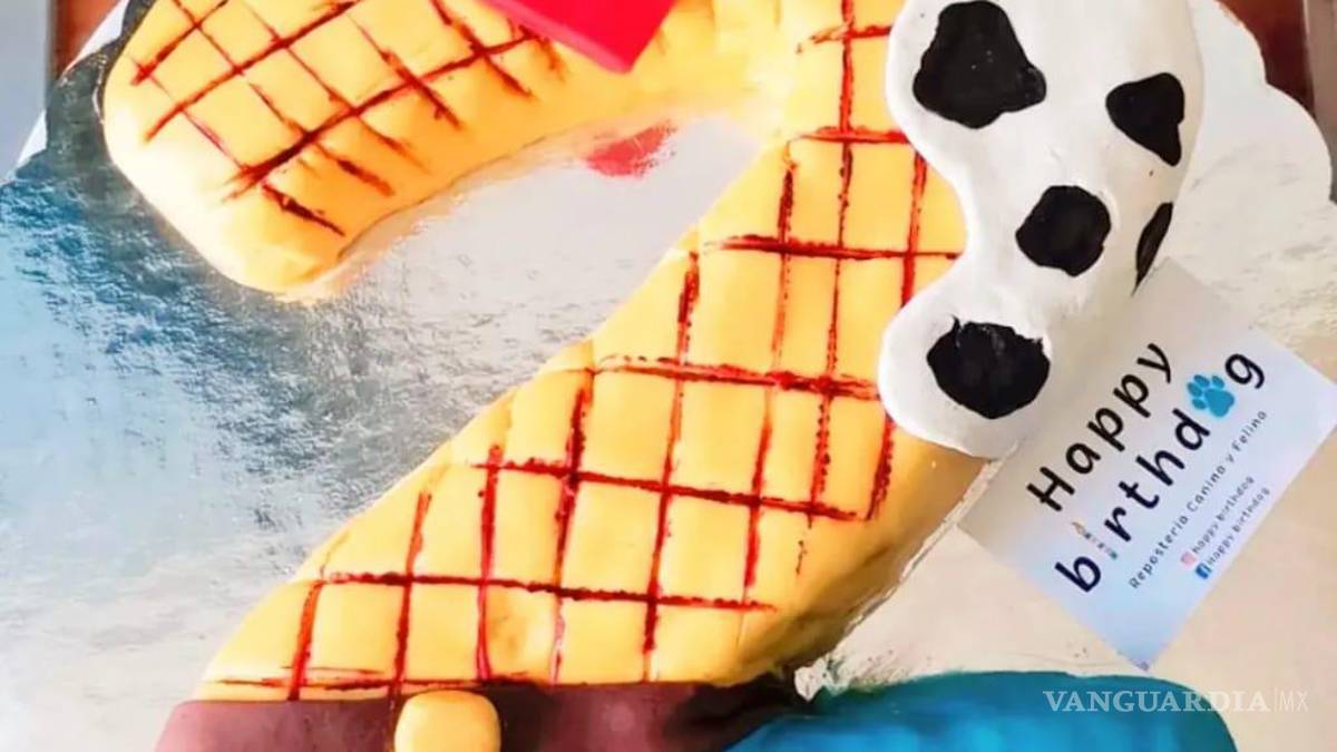 Saltillo: happy birth... ¿dog? Para pagarse estudios, joven vende pasteles para mascotas