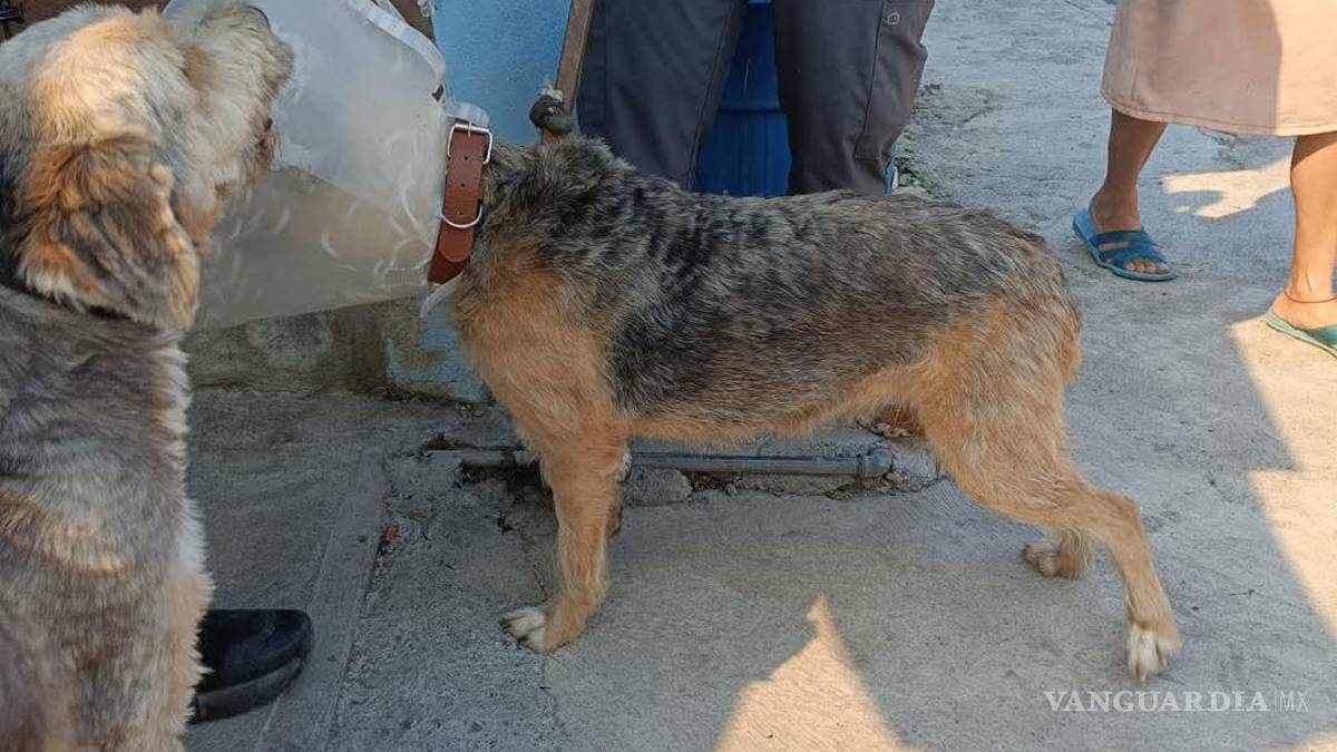 ¡Otra ola de incendios! Registra Nuevo León 122 catástrofes en 24 horas