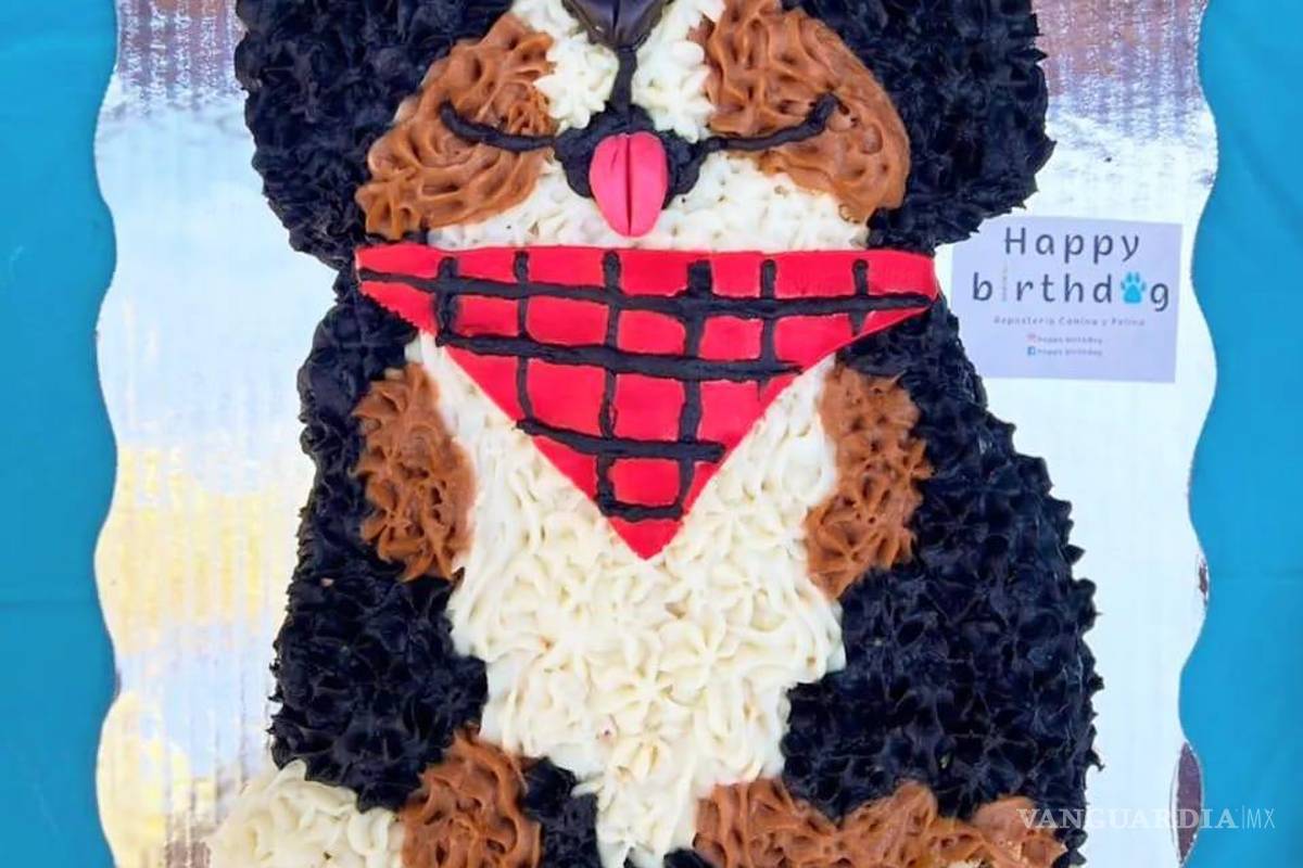 Saltillo: happy birth... ¿dog? Para pagarse estudios, joven vende pasteles para mascotas