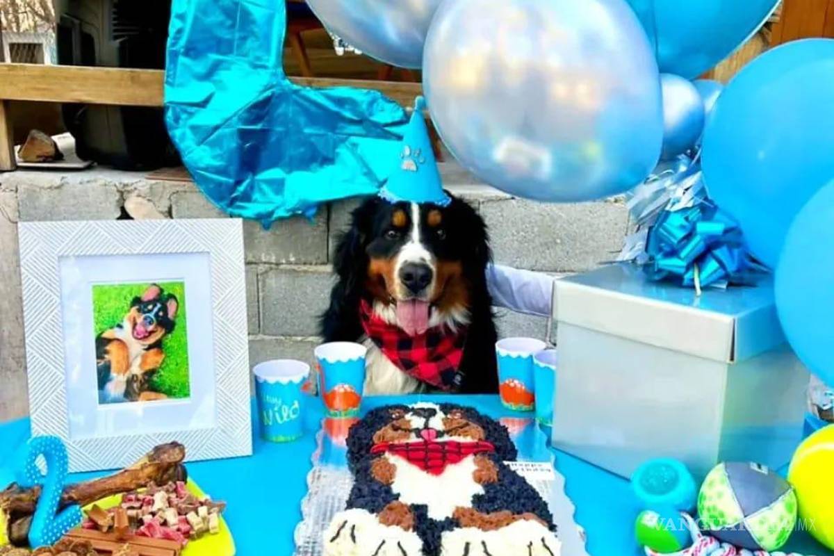 Saltillo: happy birth... ¿dog? Para pagarse estudios, joven vende pasteles para mascotas