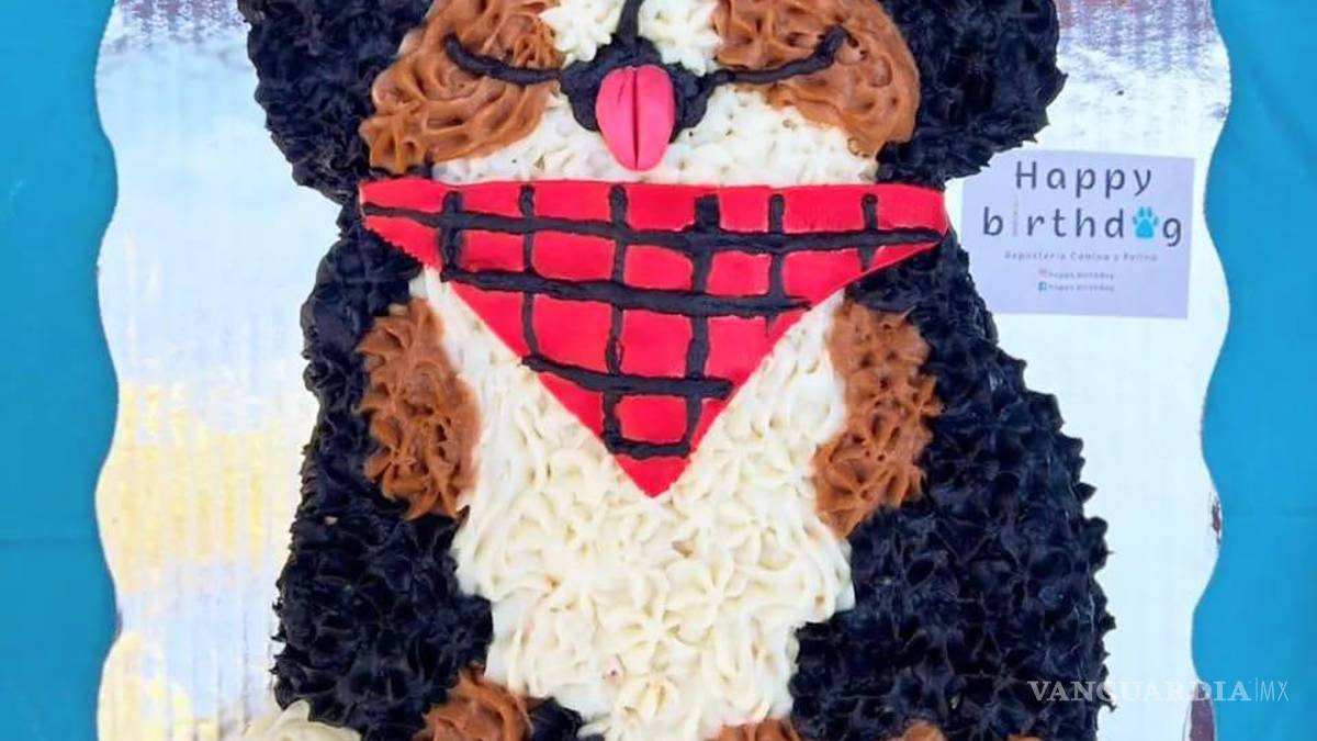 Saltillo: happy birth... ¿dog? Para pagarse estudios, joven vende pasteles para mascotas