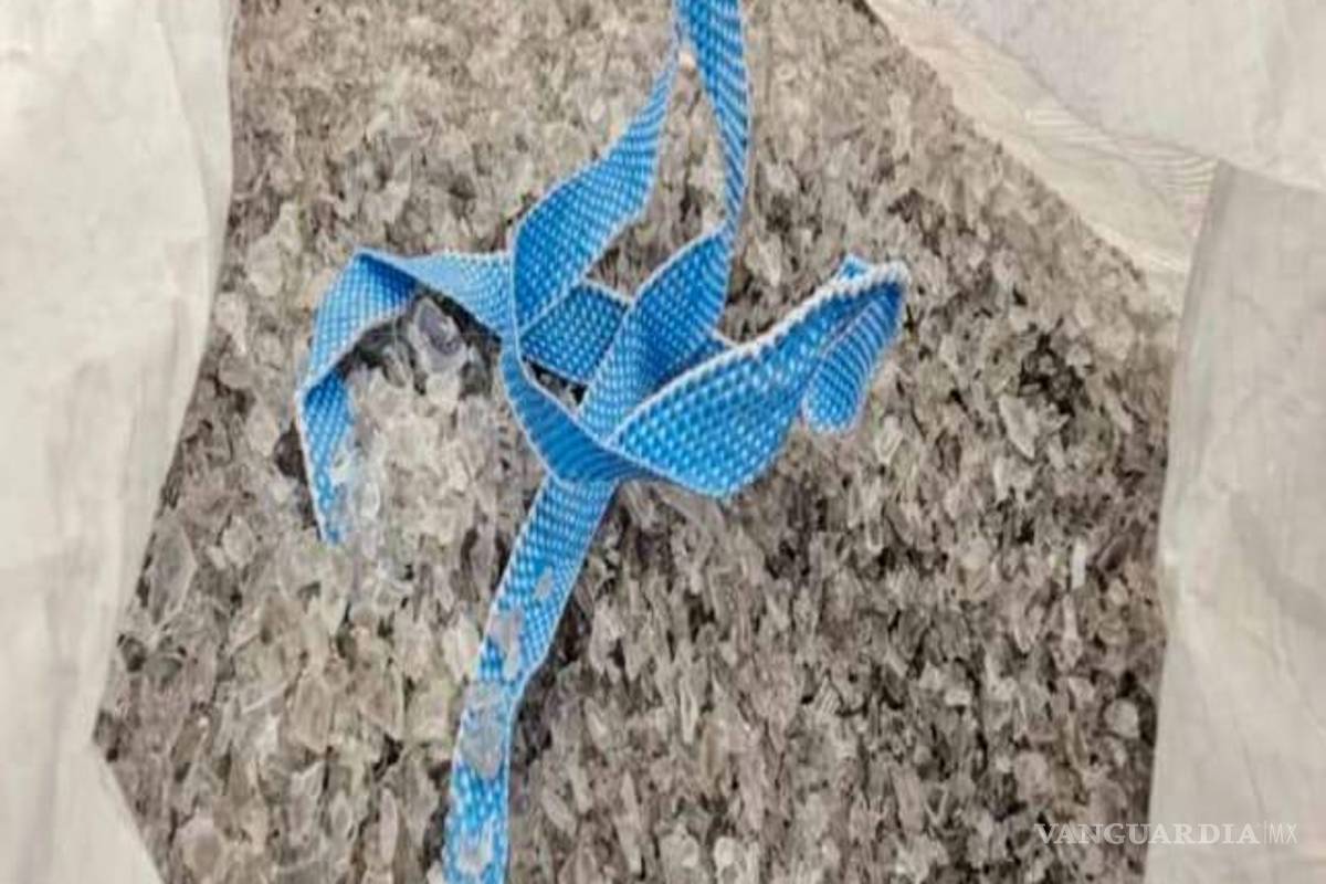 Robo de carga a trailero en la carretera Mty-Saltillo lleva a cateo de bodega, en NL