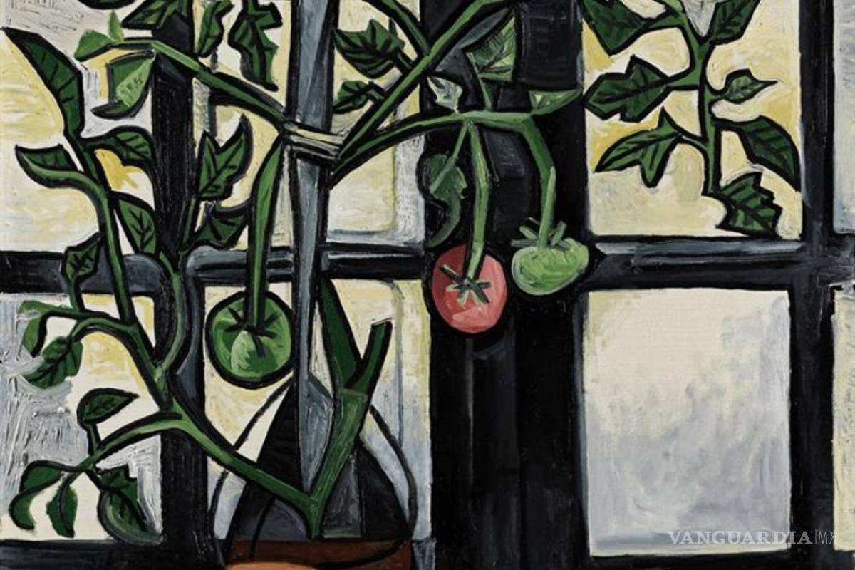 Subastan en Londres "Planta de Tomate", de Picasso
