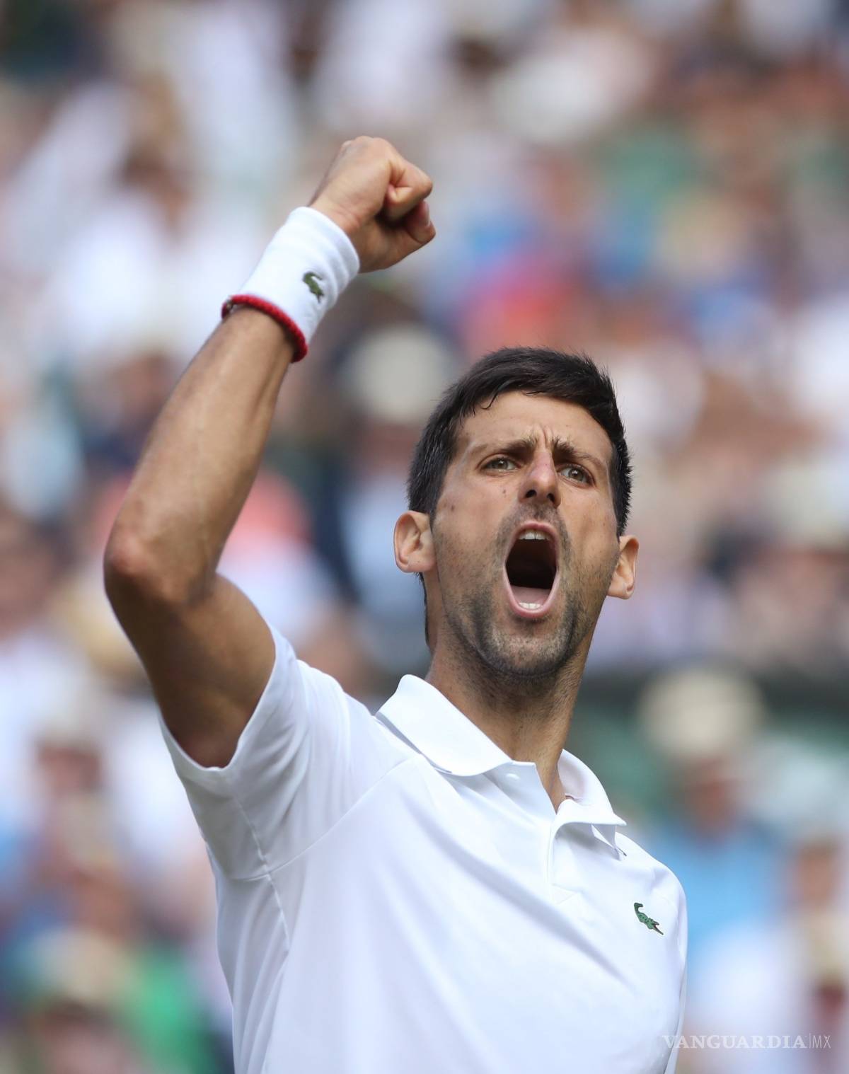 $!Novak Djokovic está en la Final de Wimbledon 2019 y espera rival entre Roger Federer y Rafael Nadal