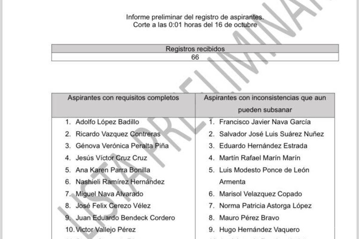 $!Buscan 66 aspirantes encabezar la CNDH, además de Rosario Piedra