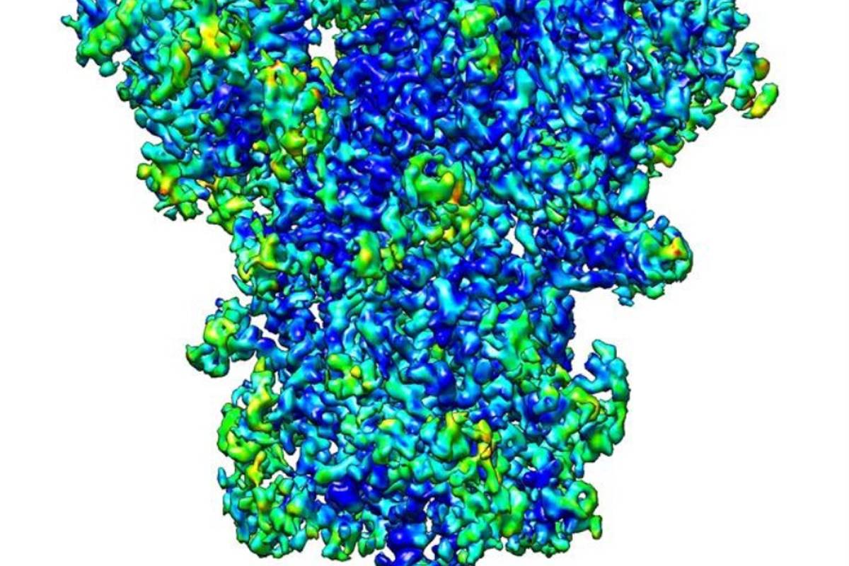 Nuevas técnicas de imagen en 3D mejoran el conocimiento del virus SARS-CoV-2
