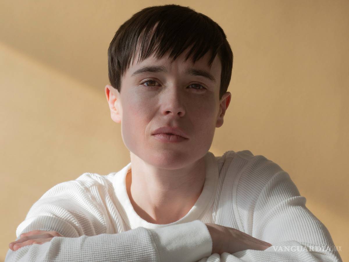 $!Desde Demi Lovato hasta Elliot Page, ¿qué es el género no binario?