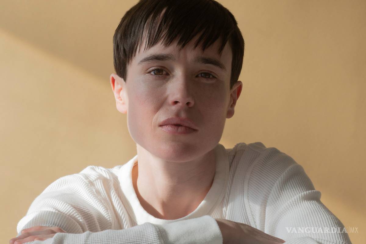 $!Desde Demi Lovato hasta Elliot Page, ¿qué es el género no binario?