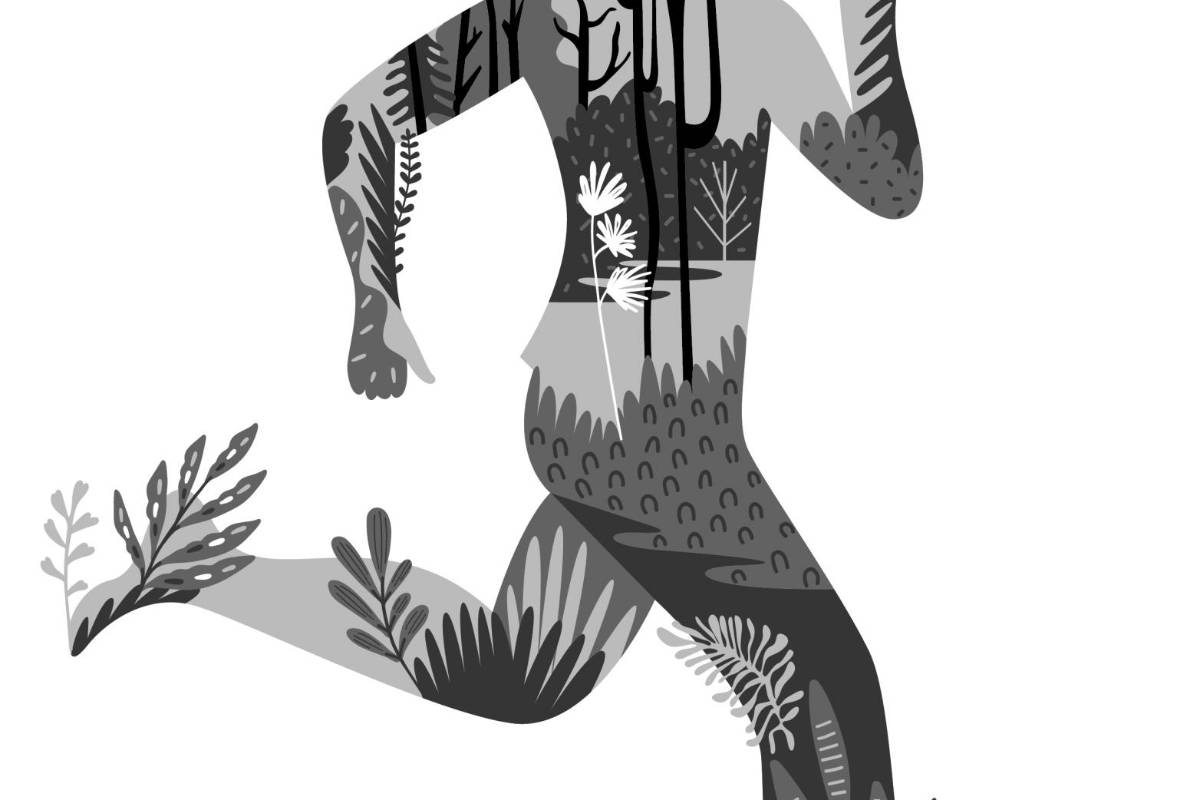 ‘Partículas de ensueño’