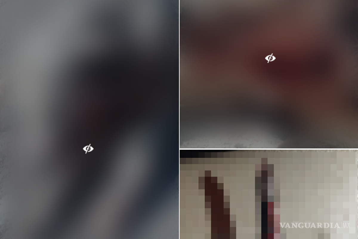 Denuncian en redes sociales ataques a mascotas en Múzquiz