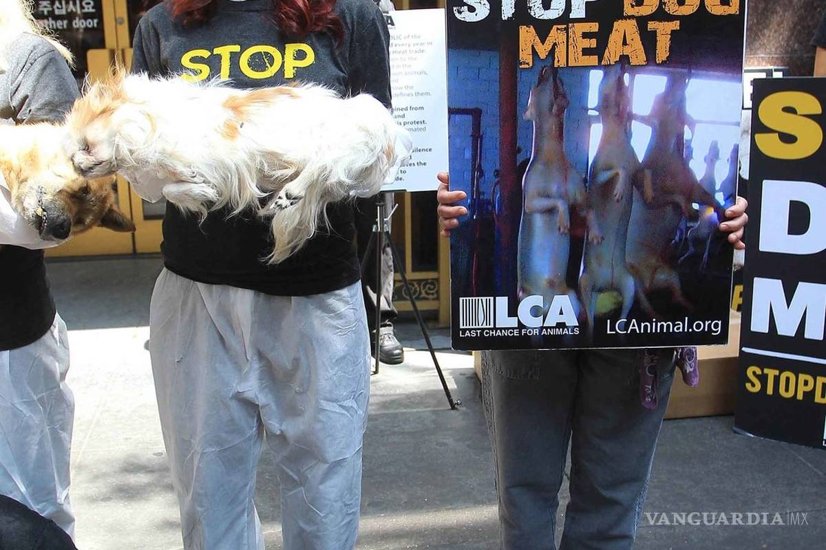 Kim Basinger y Priscilla Presley protestan con perros muertos en sus manos