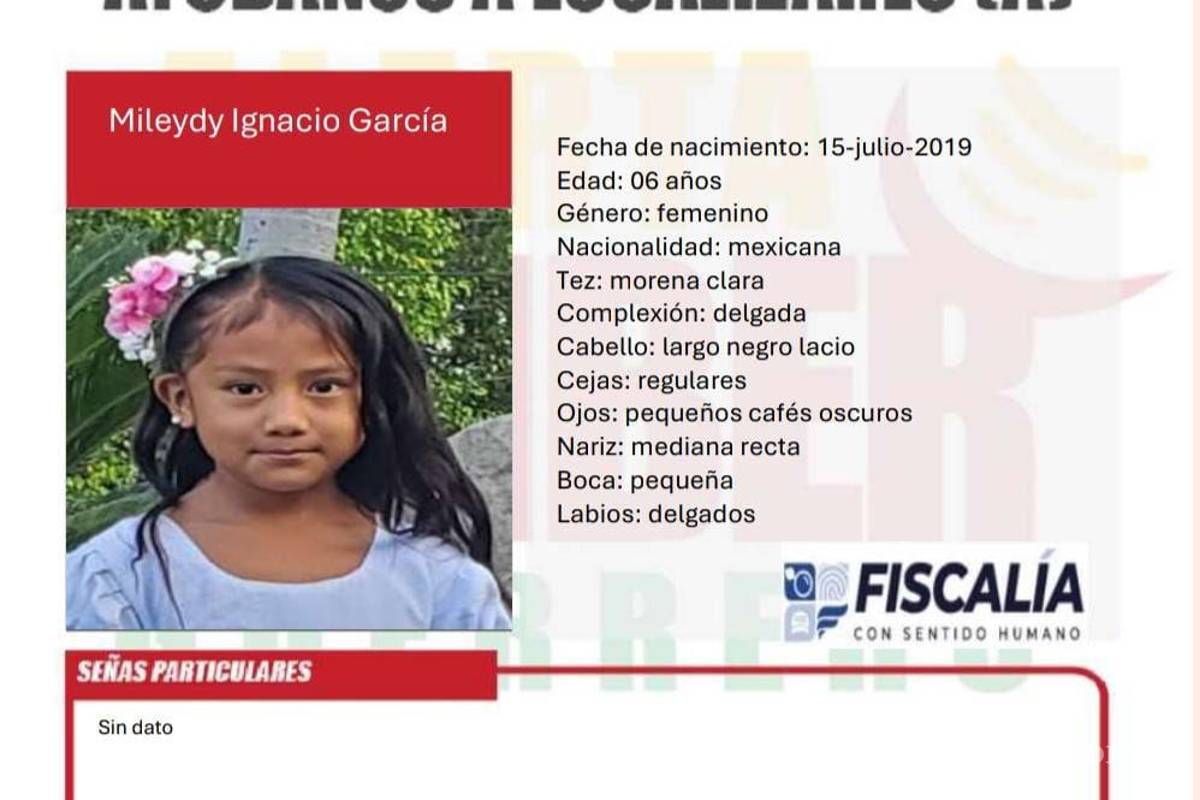 $!Las fichas de búsqueda de Zenaida García y sus hijos fueron difundidas en todo Guerrero como parte de las acciones de rastreo
