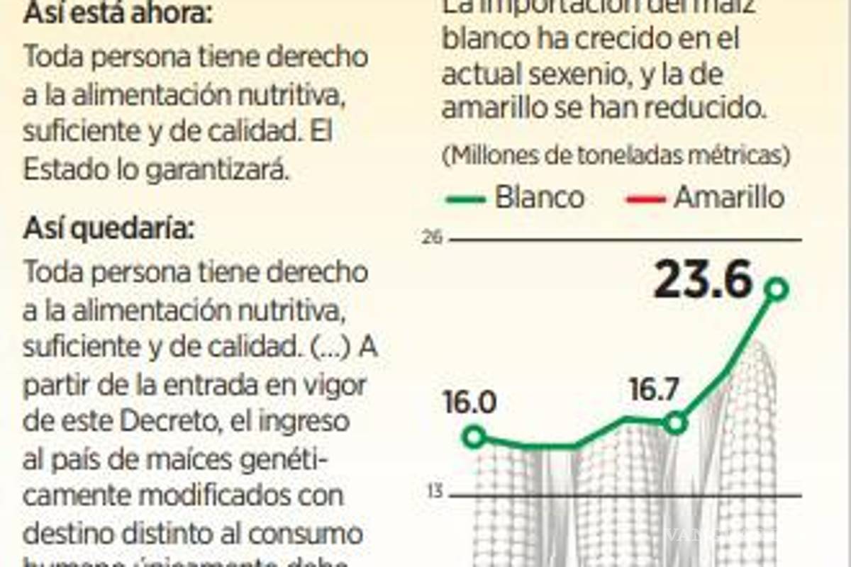 $!Prepara Morena una nueva disputa por maíz transgénico