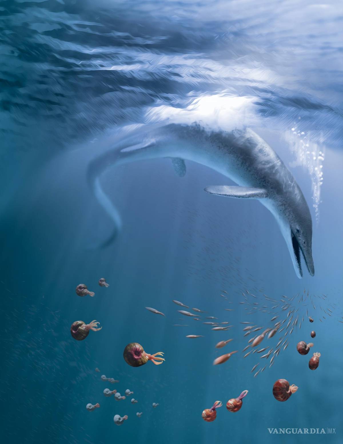 $!Recreación de C. youngorum acechando los océanos hace 246 millones de años. Ilustración de Stephanie Abramowicz