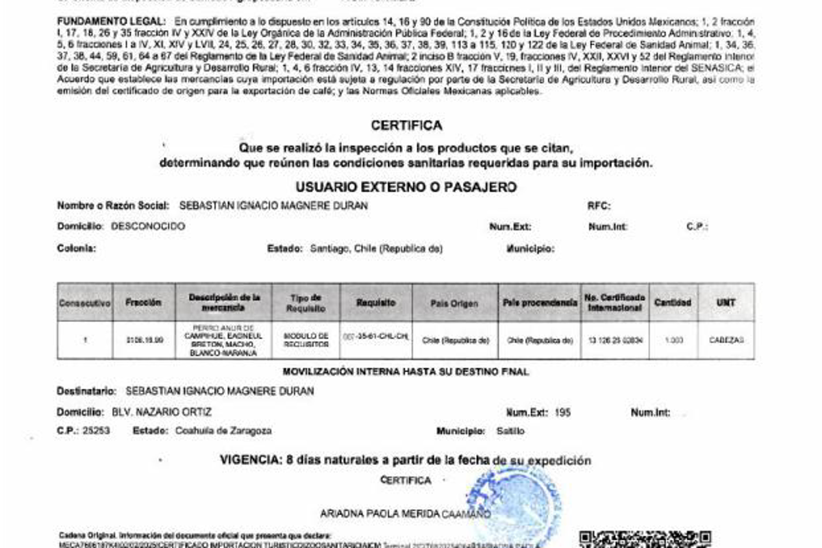 $!Cada entrenamiento, traslado y seguimiento de Manchas está incluido en la inversión de 1,001,112.83 pesos.