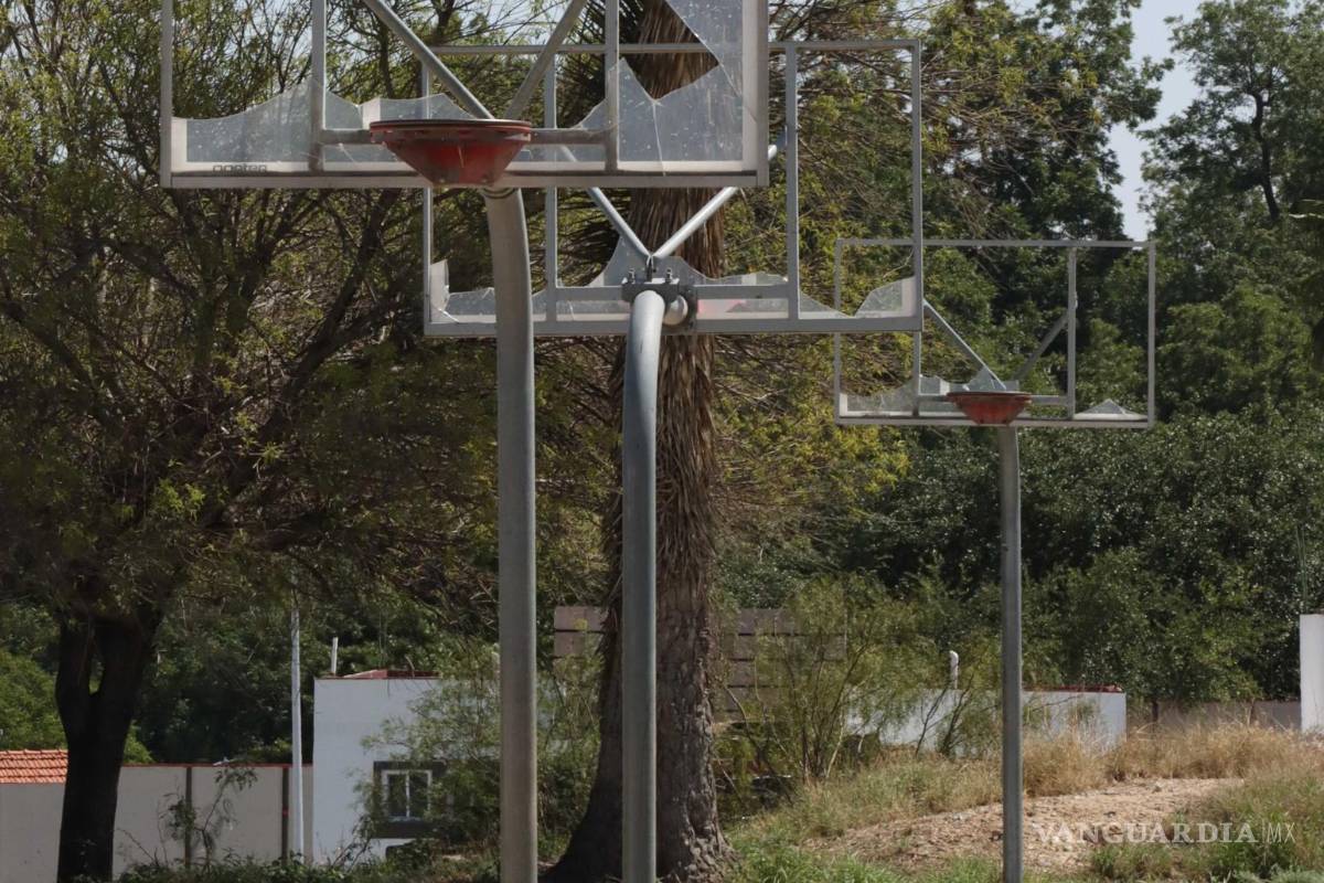 Saltillo: pasan los años y parque de la V. Carranza sigue en total abandono