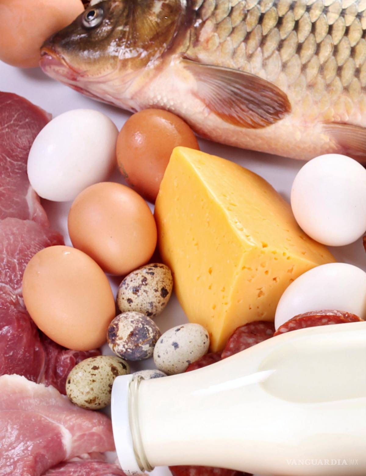 $!Alimentos ricos en minerales, aliados de la fertilidad masculina.