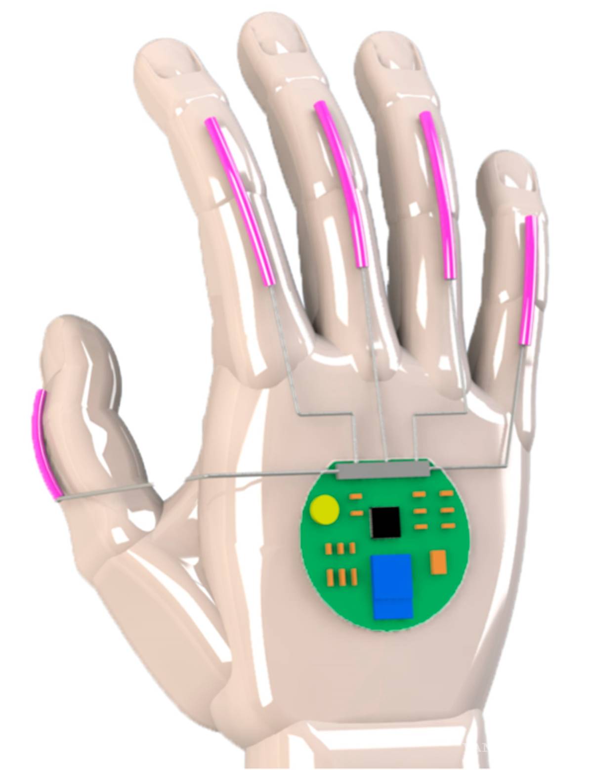 $!Con estos guantes las personas sordas podrán ponerle voz a su lenguaje de señas