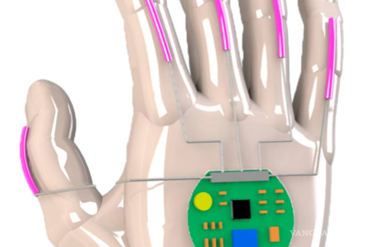 $!Con estos guantes las personas sordas podrán ponerle voz a su lenguaje de señas