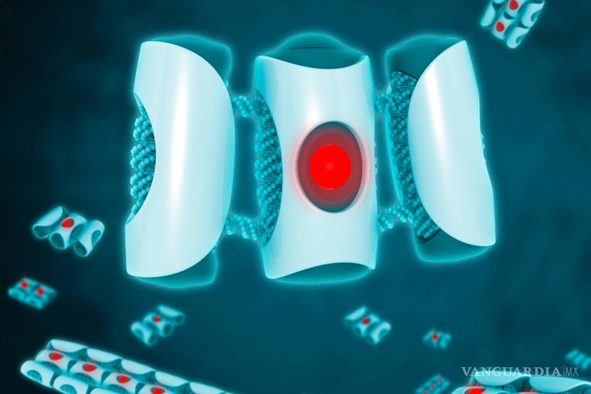$!Nanobots, robots de ADN que permitirán curar heridas, desobstruir arterias y administrar medicamentos