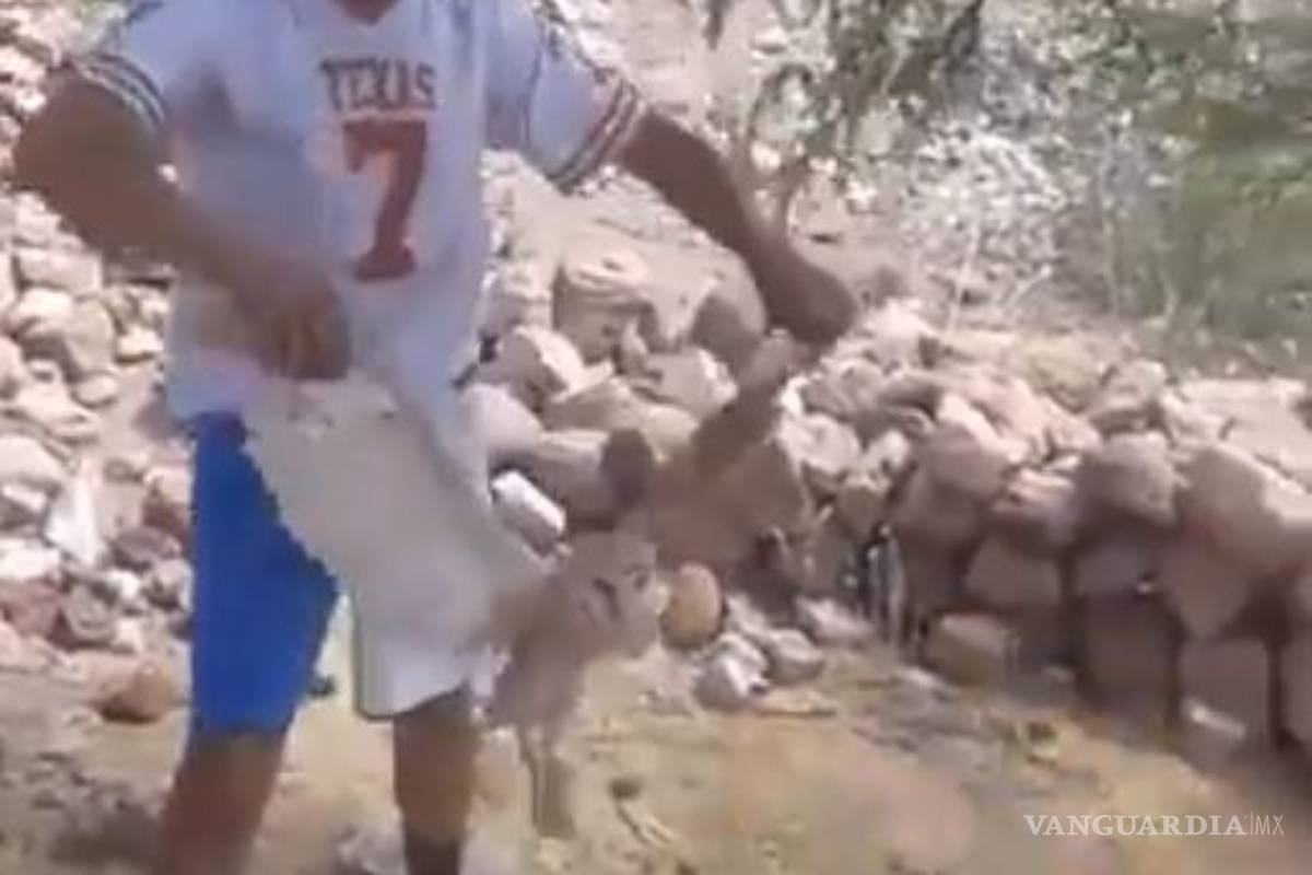 Hombres se graban quemando una lechuza y lo comparten en redes sociales en Durango