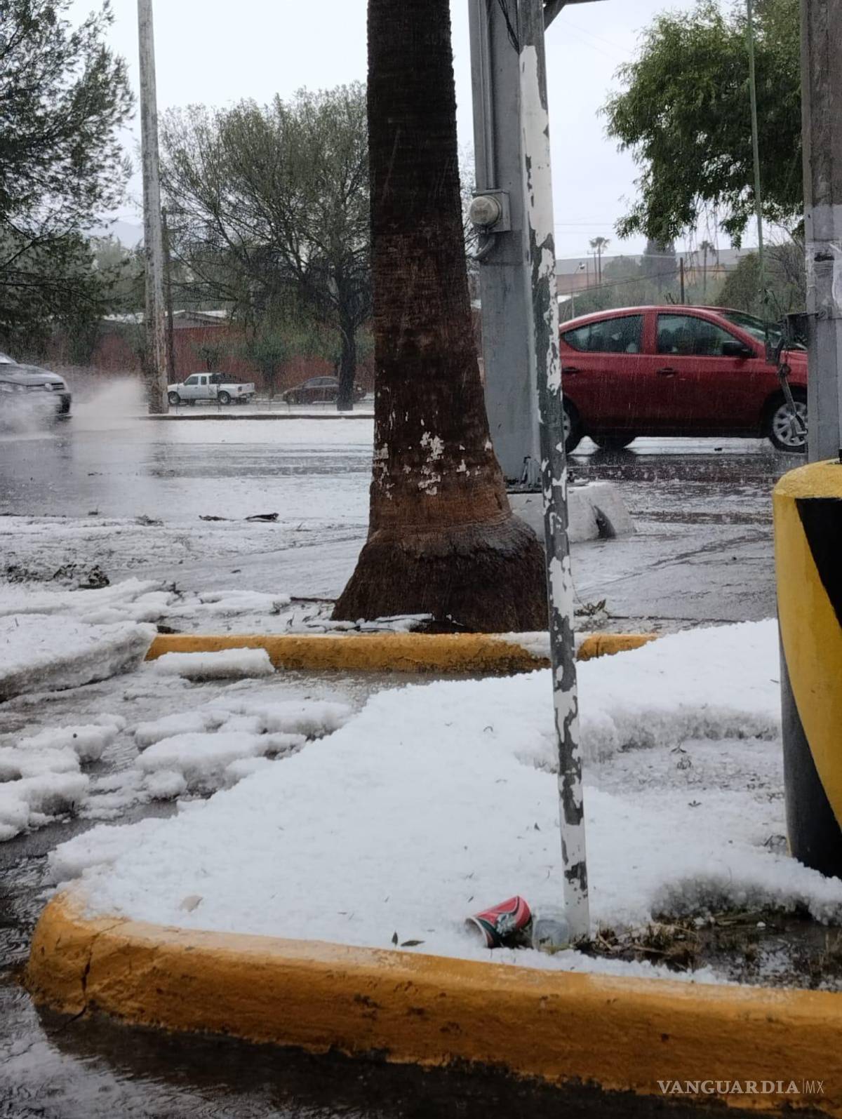 $!Afuera de WalMart la acumulación de hielo semejaba nieve.