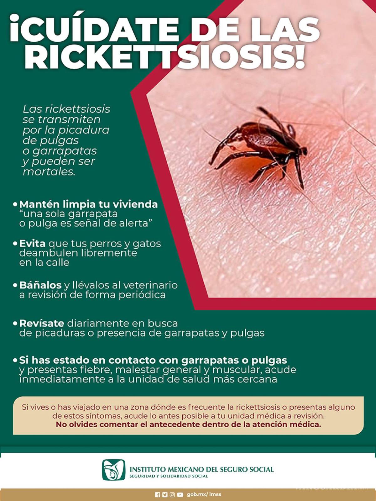 $!Tamaulipas registra su primer caso de rickettsiosis en 2025; suman 76 casos a nivel nacional