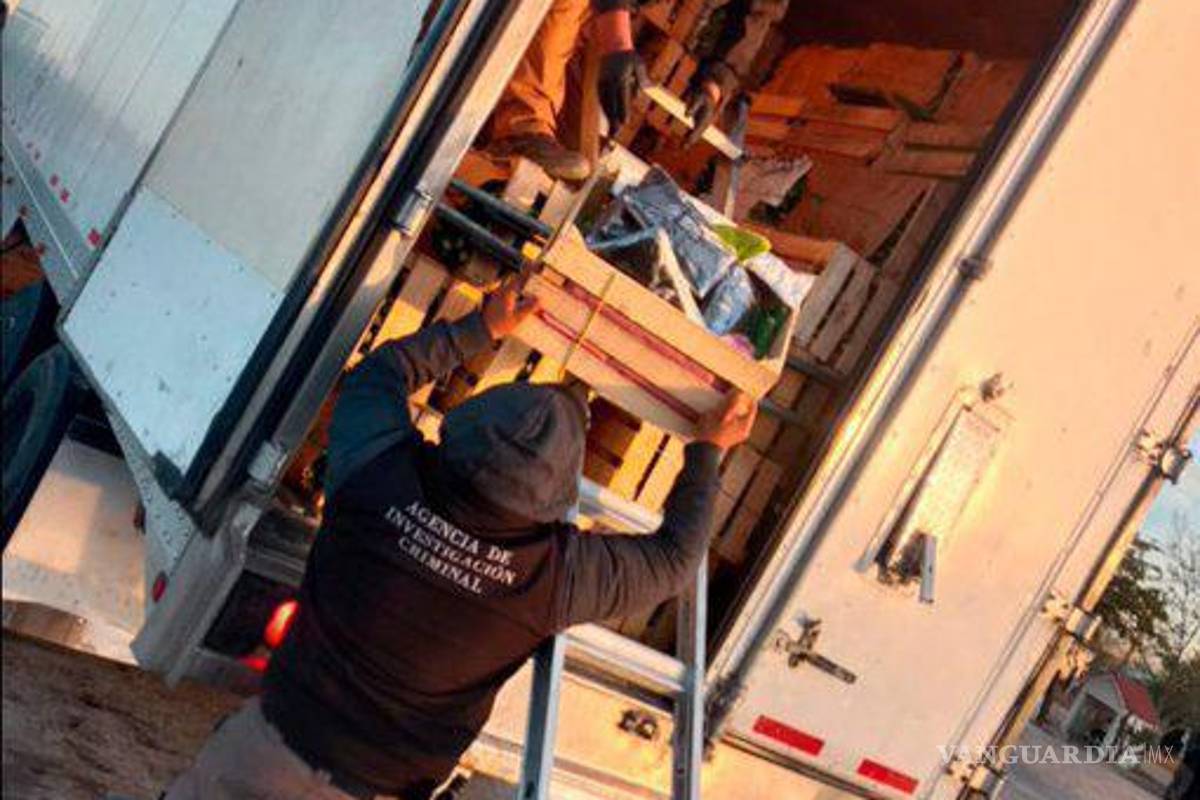 $!Incautan 275 mil pastillas de fentanilo ocultas en cargamento de nopales