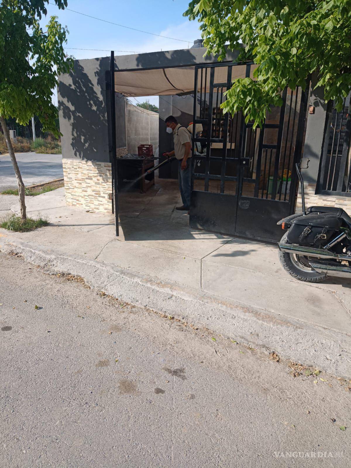 $!La fumigación, una medida preventiva ante las altas temperaturas que han favorecido la aparición de chinches en la región.