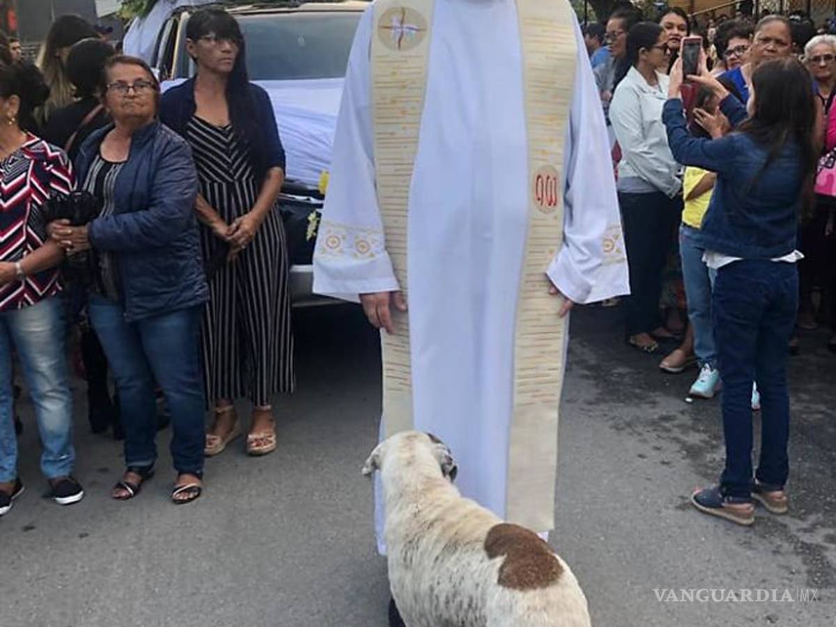 $!Sacerdote lleva perros a sus misas para que fieles los adopten; "Son de Dios"